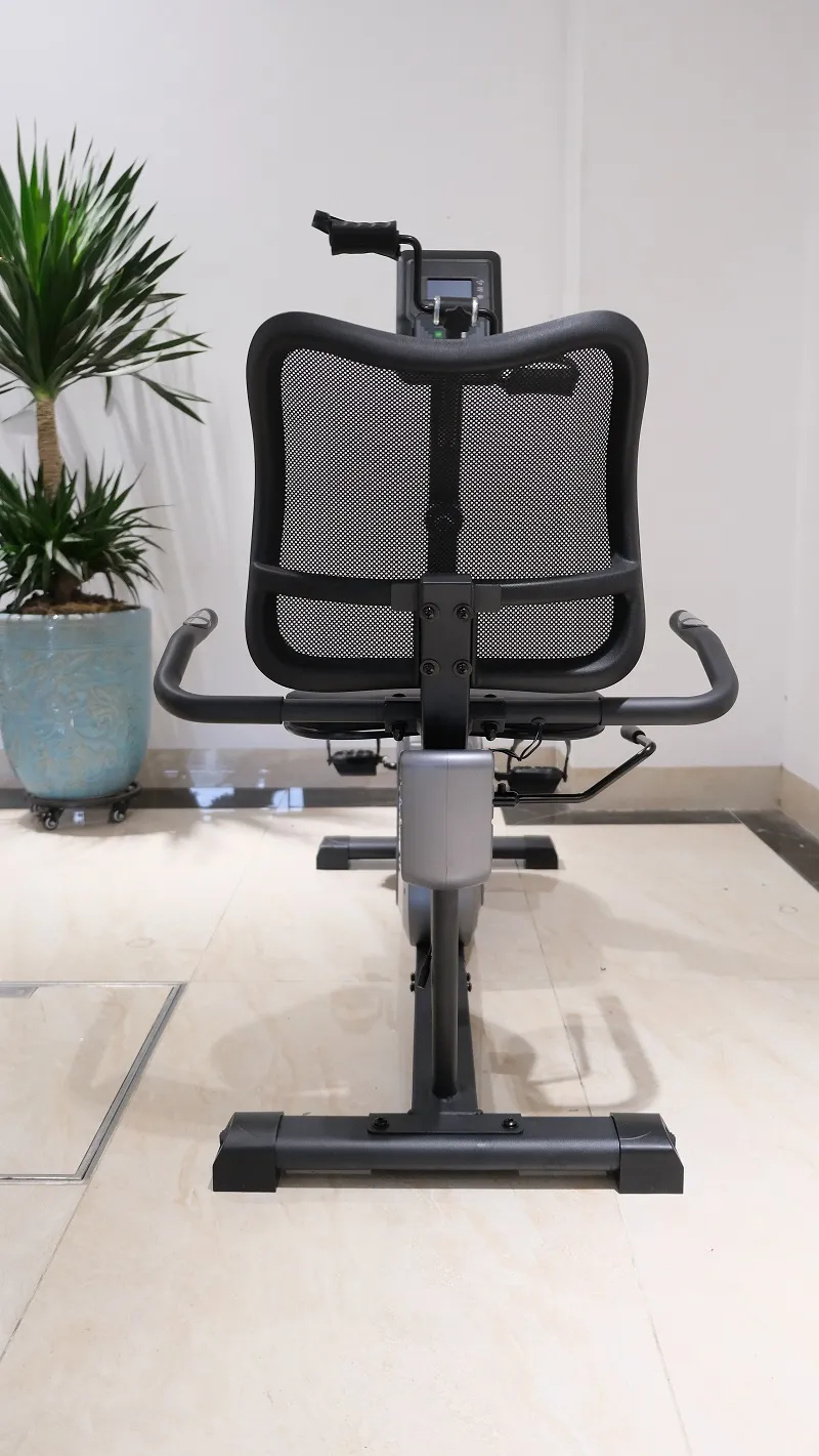 Xe đạp phục hồi chức năng TK8601R - Ảnh 2